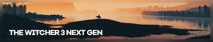 Shot by IronGauntlet The Witcher 3: Wild Hunt Next Gen